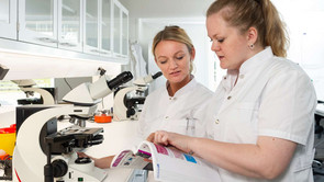 Studerende for en dag - Bioanalytiker