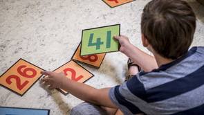 Matematikvejlederdag 2021 i Region Sjælland