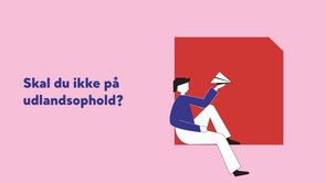 Typer af udlandsophold